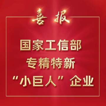 2024年工业和信息化部办公厅关于开展第六批专精特新“小巨人”企业培育和第三批专精特新“小巨人”企业复核申报通知